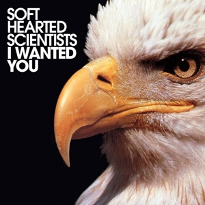 I Wanted You - Single