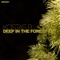 Deep In the Forest (Loquai Remix) - Kostas B lyrics