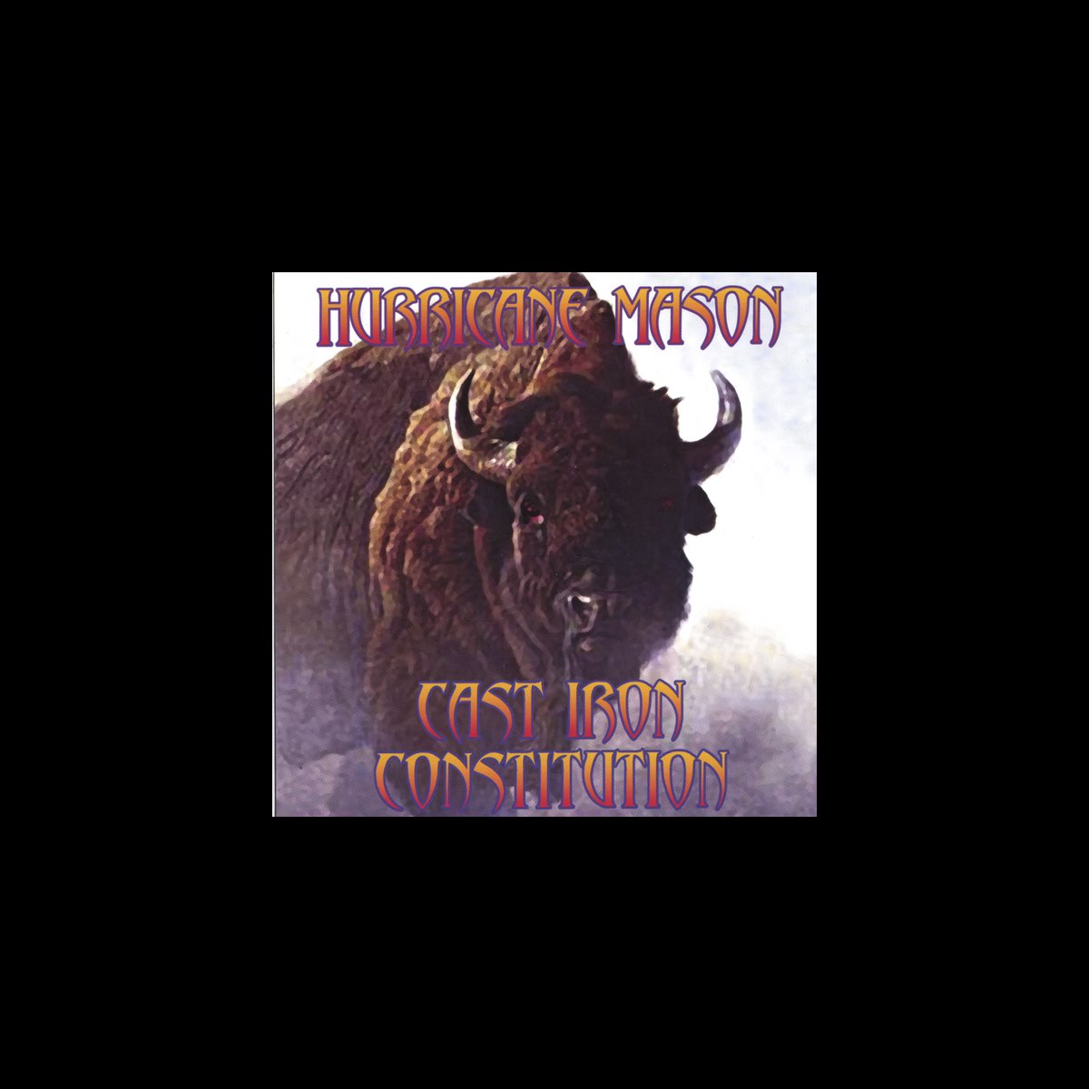 ‎Cast Iron Constitution Album by Hurricane Mason Apple Music