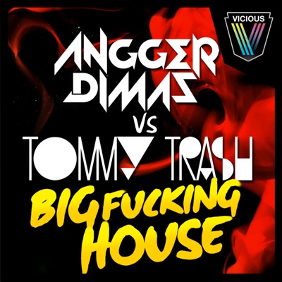 Big Fucking House - Single