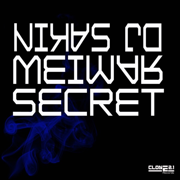 Secret (DJ Space Raven Remix) - Single