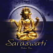 Cover art for Saraswati by Padma Previ