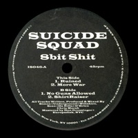 8 Bit Shit - Suicide Squad