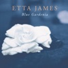 Blue Gardenia, 2001