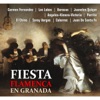 Fiesta Flamenca en Grana