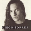 Diego Torres - Alguien la Víó Partir