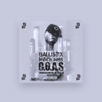 Ballistix Black Dogg