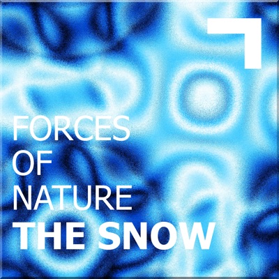 Forces of nature – the snow