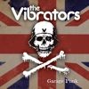 The Vibrators