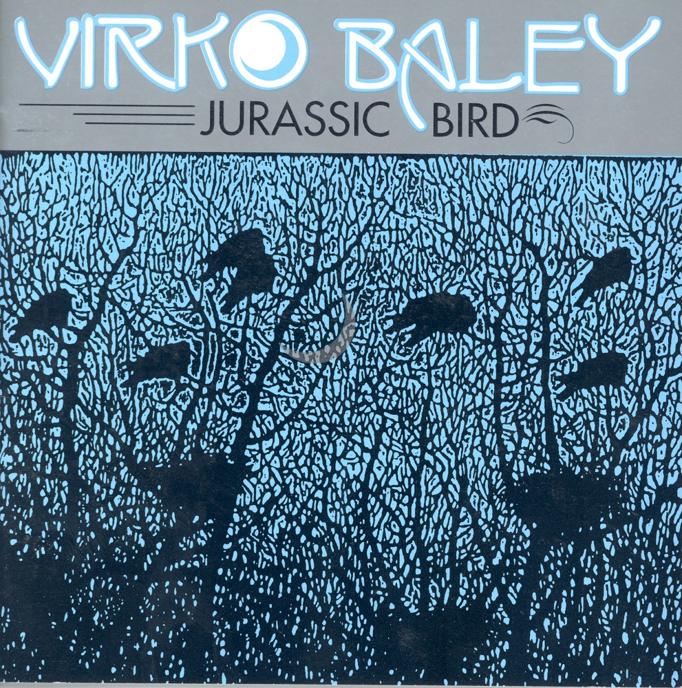 Обложка альбома «Baley: Partita No. 1, Sculptured Birds & Nocturnals Nos. 5 and 6» — Laura Spitzer, Virko Baley & Miles Anderson
