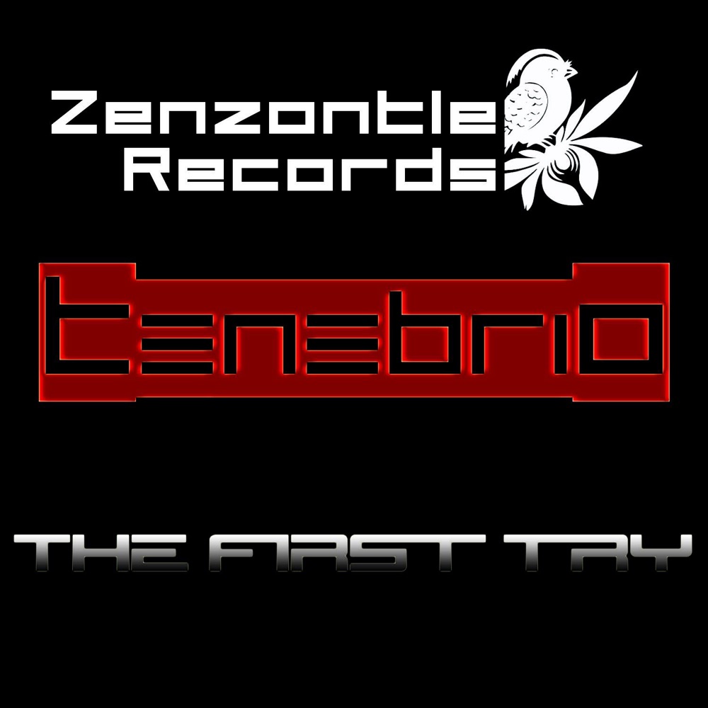 Обложка альбома «The First Try» — Tenebrio