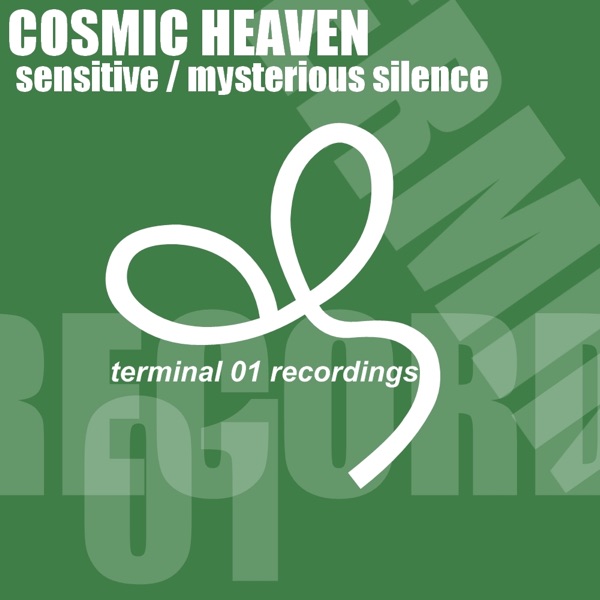 Sensitive / Mysterious Silence - EP