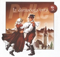 Alpski Kvintet - Muzikant