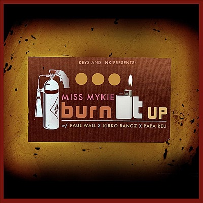 Burn It Up (feat. Paul Wall, Kirko Bangz & Papa Reu) - Single