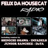 Felix da Housecat