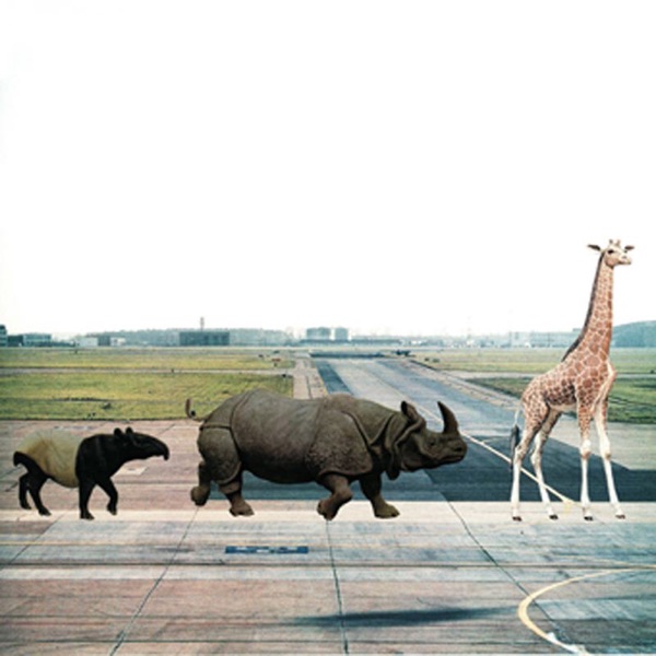 Safari - EP