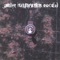 Space Banjo - Gabber Nullification Project lyrics