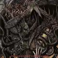 Screams Of Tiamat