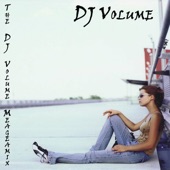 The DJ Volume Megamix artwork