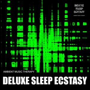 Deluxe Sleep Ecstasy