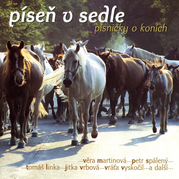 Píseň V Sedle - Písničky O Koních cover