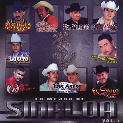 Lo Mejor de Sinaloa