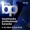 Karaoke (In the Style of Kate Bush) - Backtrack Professional Karaoke Band