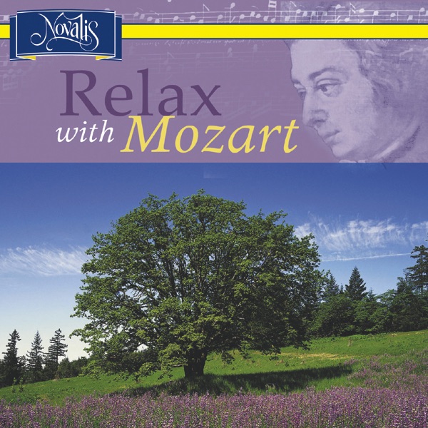 Posthorn Serenade No. 9 In D Major, K. 320: IV. Rondo. Allegro Ma Non Troppo