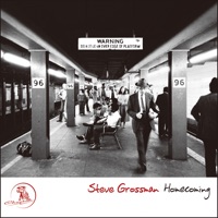 ホームカミング - Steve Grossman