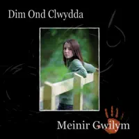 Cymru, USA — Meinir Gwilym