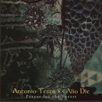 Prayer For The Forest - Antonio Testa & Alio Die