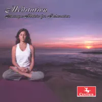 Chamber Concerto in G minor, RV 105: Concerto for Recorder, Oboe, Violin and Bassoon in G minor, RV 105: II. Largo — Kim Pineda, Ingrid Matthews, Washington McClain, Seattle Baroque Orchestra & Michael McCraw