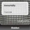 Sheldon - Immortality (7-Inch Edit)