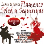 Learn To Dance Flamenco-Soleá Y Seguiriya