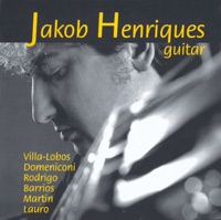 Guitar - Jakob Henriques