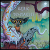 Ozric Tentacles - The Yumyum Tree artwork