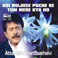 Koi Mujhse Puche Ke Tum Mere Kya Ho Vol. 116 - Atta Ullah Khan Esakhelvi