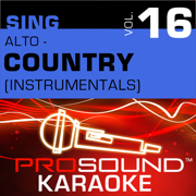When You Say Nothing At All (Karaoke Instrumental Track) [In the Style of Alison Krauss] - ProSound Karaoke Band