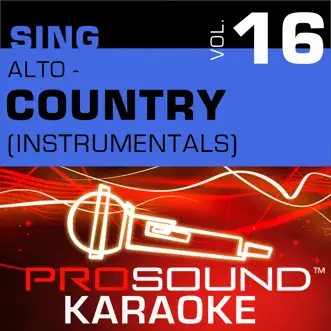 When You Say Nothing At All (Karaoke Instrumental Track) [In the Style of Alison Krauss] by ProSound Karaoke Band song reviws