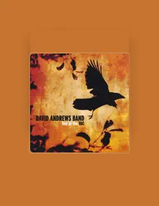 David Andrews Band dinle, müzik videolarını izle, biyografisini oku, tur tarihlerini ve daha fazlasını gör!