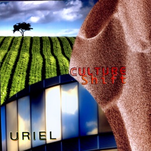 Culture Shift