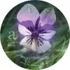 !