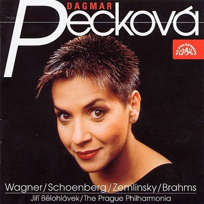 Song Recital /Wagner-Schoenberg-Zemlinsky-Brahms/