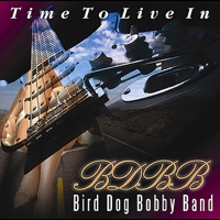 Bird Dog Bobby Band - Beggin' for a Broken Heart