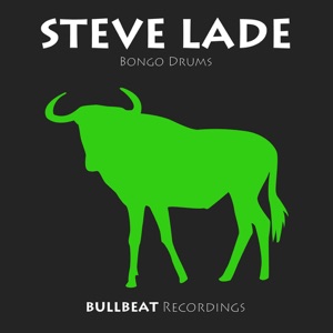 Bongo Drums