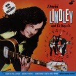 David Lindley - Talk to the Lawyer