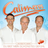 Du bist mein schönstes Gefühl