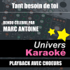 Tant besoin de toi (Rendu célèbre par Marc Antoine) [Version karaoké avec chœurs] - Univers Karaoké
