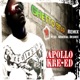 Ghetto Star Remix feat General Degree Single