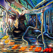 Cover art for Momentum by Midnite